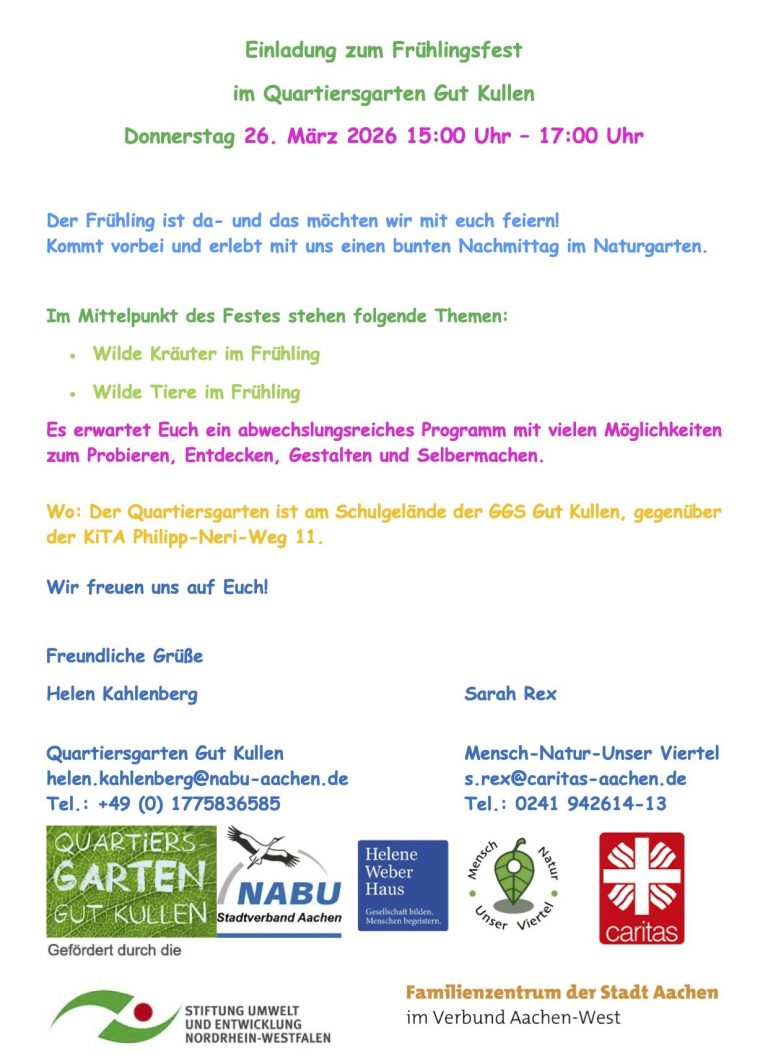 Musiker mit Bratsche